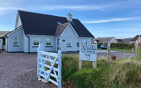 Seagull Cottage B&B